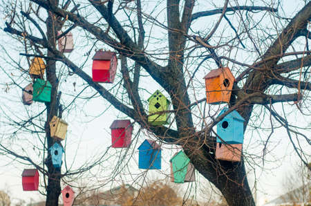 Multicolored birdhouses on the branches of a tree.の写真素材