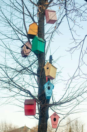 Multicolored birdhouses on the branches of a tree.の写真素材