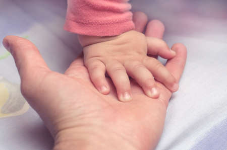 A little child's hand with parent's hand.の写真素材