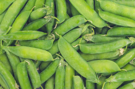 Pods of ripe green peas background.の写真素材