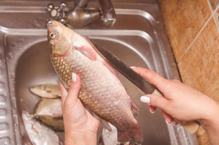 Gutting and cleaning of fish over the sink.の写真素材
