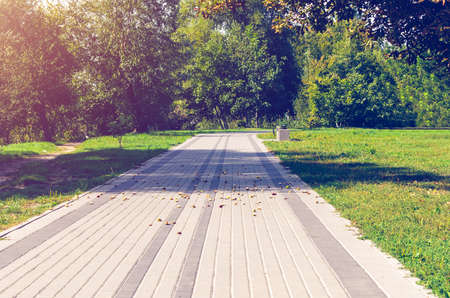 Sidewalk in the green park.の写真素材