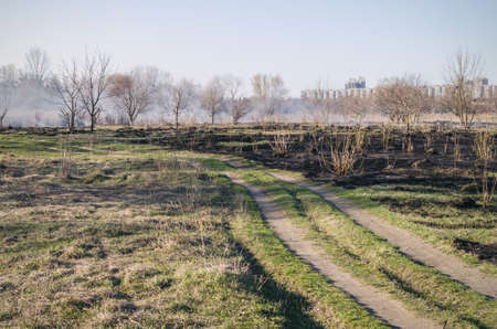 The fire of dry grass in the field.