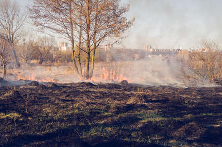 The fire of dry grass in the field.の写真素材