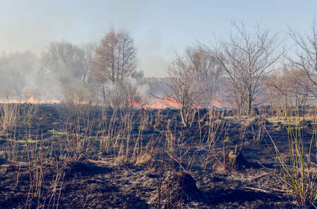 The fire of dry grass in the field.の写真素材