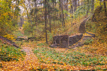 Stone steps in an autumn park strewn with yellow leaves.