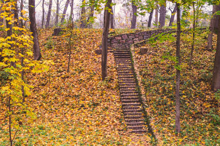 Stone steps in an autumn park strewn with yellow leaves.の写真素材