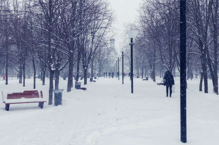 People walking along a city alley during a snowfall in winter.の写真素材