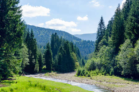 Carpathian landscape, a mountain river flows in the forest. Holidays in the mountains.の写真素材