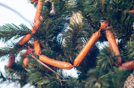 Christmas toys on a Christmas tree branch.の写真素材