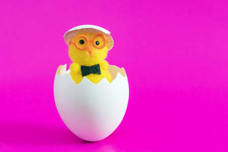 Toy chicken in eggshell on a pink background.の写真素材
