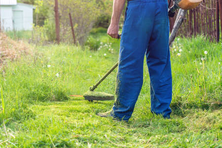 The gardener mows the grass with a trimmer in the spring garden.