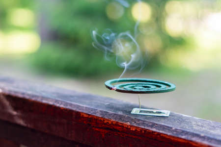 Smouldering repellent spiral from mosquitoes, protection against insects.の写真素材