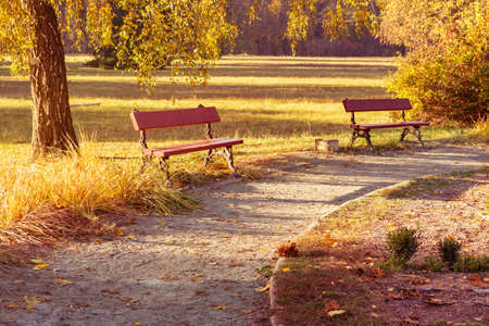 Empty bench in a beautiful autumn city park.