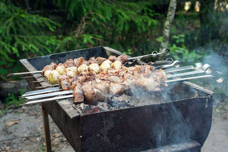 Delicious, juicy, marinated shish kebab is cooked on charcoal grill.の写真素材