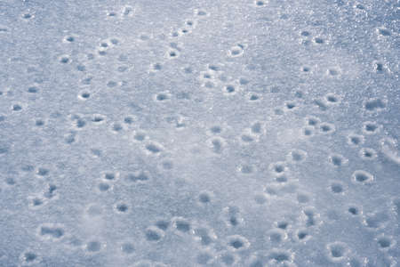 Frozen ice surface of a lake in winter, background texture.の写真素材