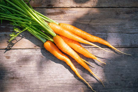 Fresh ripe carrots on a wooden table.