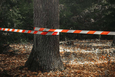 Red and white barrier tape, fenced off dangerous place or crime scene in the forest.