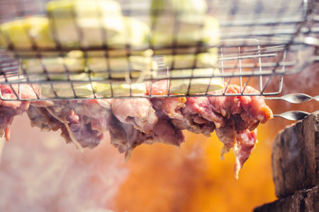Delicious juicy meat on skewers is fried on a fire.の写真素材