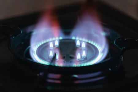 Portable kitchen gas stove with a burning blue flame.の写真素材