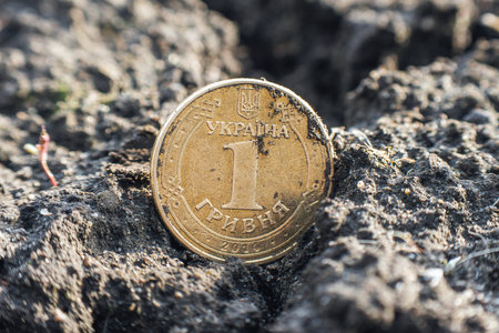 Ukrainian coin one hryvnia lies in the black soil.の写真素材