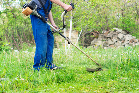 The gardener mows the grass with a trimmer in the spring garden.の写真素材