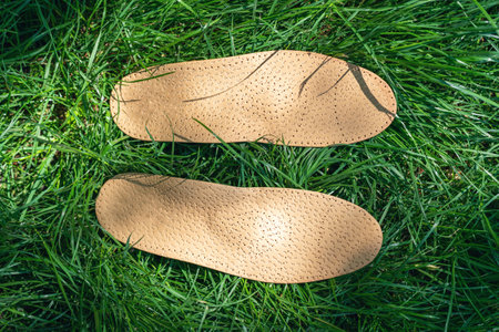 Orthopedic insoles for shoes on a background of green grass.の写真素材