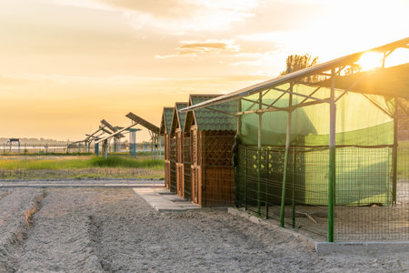 Wooden beach changing cabin on sandy beach during sunset.の写真素材