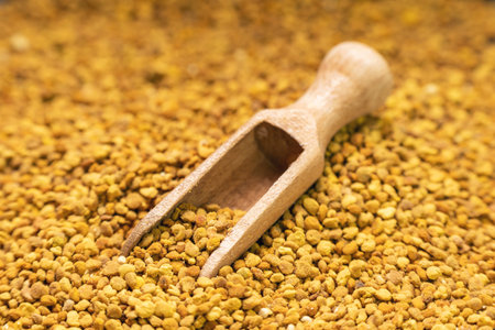 A small wooden scoop on a pile of bee pollen granules.の写真素材