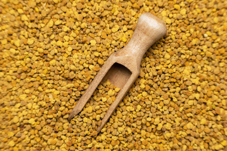 A small wooden scoop on a pile of bee pollen granules.の写真素材