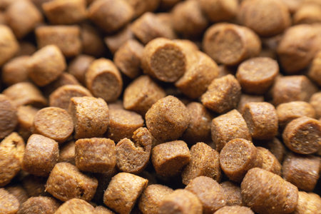 Dry pet food, for cats or dogs. Background texture.の写真素材