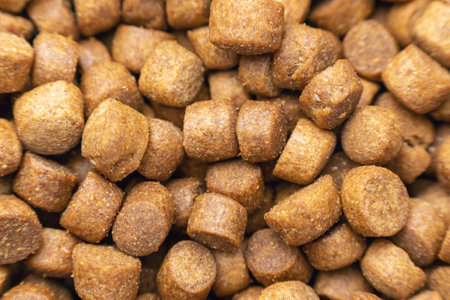 Dry pet food, for cats or dogs. Background texture.