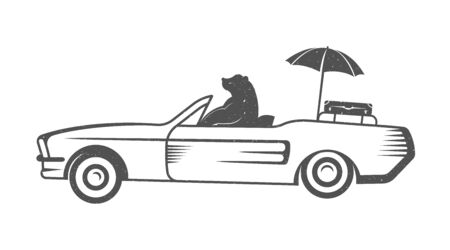 Vintage Illustration fun bear with grunge effect for posters and t-shirts. Funny bear on car on a white backgroundのイラスト素材