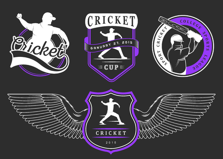 Set of cricket team emblem design elements.のイラスト素材