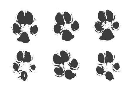 Set of traces of animals and footprints. Black ink silhouettes of dog on white background in vector.のイラスト素材