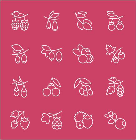 Collection of line white icons of berries. Set of vector simple elements with bold outlines on a color background. Info graphics signs and pictograms.のイラスト素材