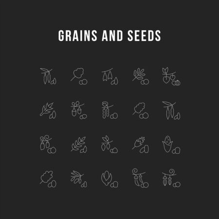 Set of outline signs and symbols of grains and seeds with names. Collection vector thin line icons and infographics elements. Simple linear pictogram pack for web graphics and apps.のイラスト素材