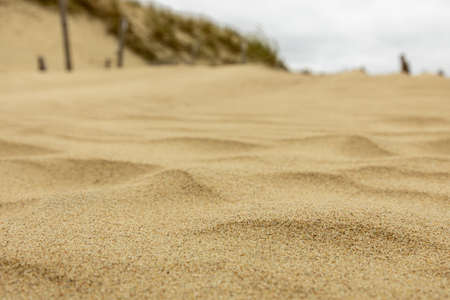 The pattern of the sand for being background or textureの写真素材