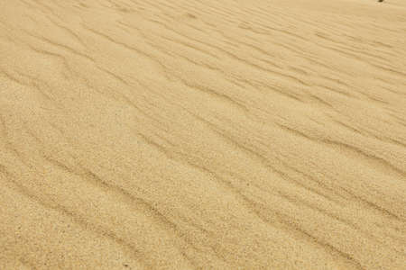 The pattern of the sand for being background or textureの写真素材