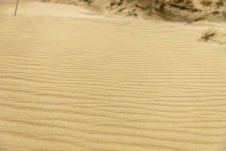 The pattern of the sand for being background or textureの写真素材