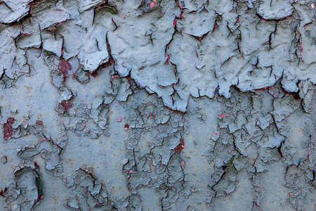 Rusty metal, peeling paint, green tones, bright colors.の写真素材