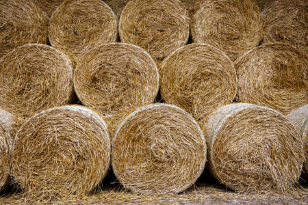 Dry straw bales texture folded in circlesの写真素材