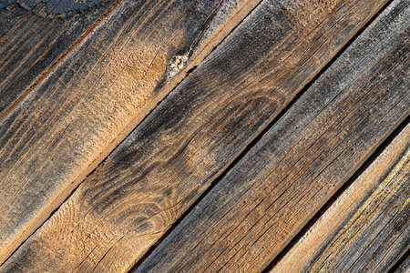 Old wood texture background. Wooden texture. Nature material backgroundの写真素材