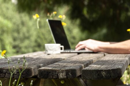 A textured wooden table in the forest with yellow flowers and with a blurry background on which a person prints on a laptop and is a cupの写真素材