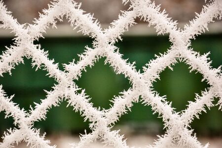 Hoarfrost on a metal mesh fence on a blurred background of a green wall