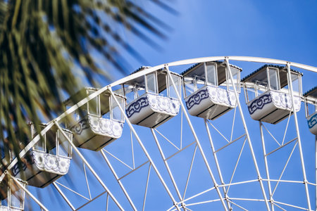 Ferris wheel and palm leaves, in Nice, South of France