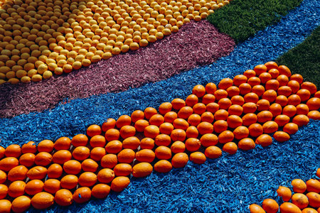 Lemons and oranges in Menton, France
