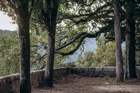 Surroundings of the Saint-Andre chapel in Orris de la Roquebrussanneの写真素材