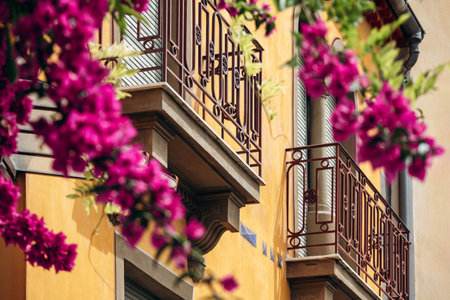 Yellow facade of a beautiful building in the center of Nice and bougainvillea in the foreground out of focusの写真素材