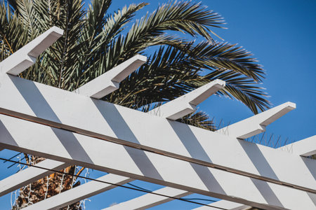 Close-up of white structures in Nice
